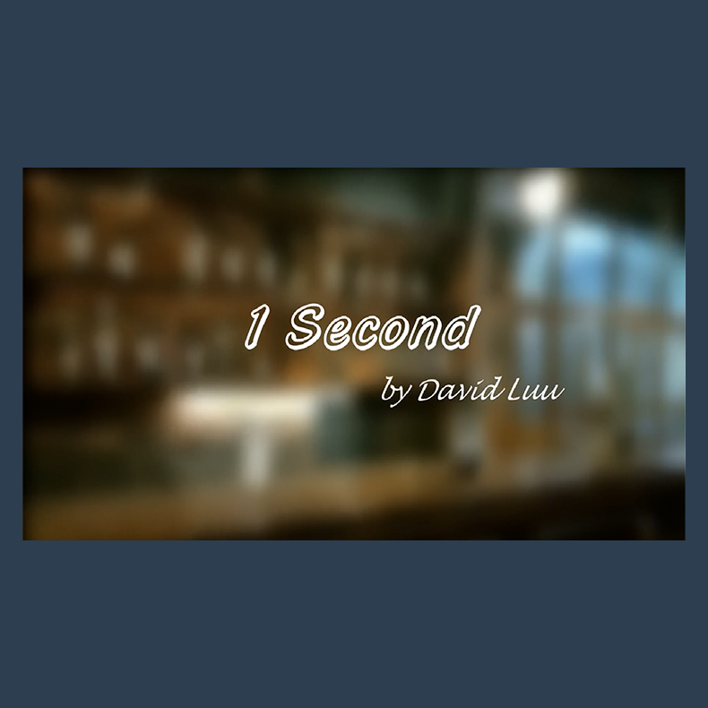 One Second by David Luu Video DOWNLOAD