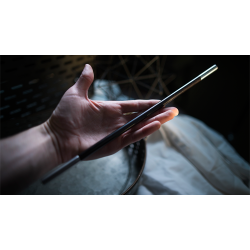 Professional's Magic Wand (Ebony/Silver Tip)