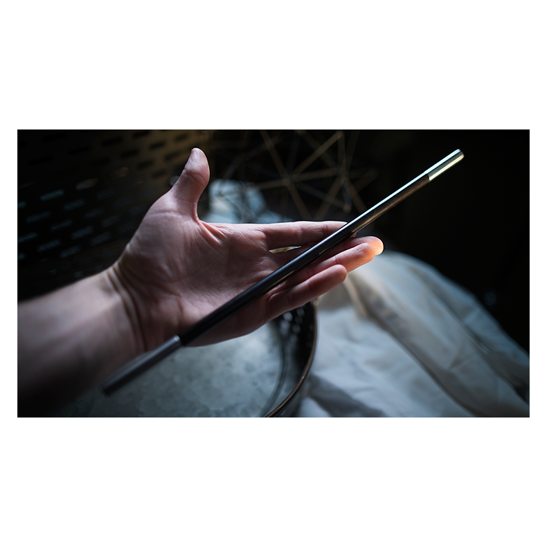 Professional's Magic Wand (Ebony/Silver Tip)