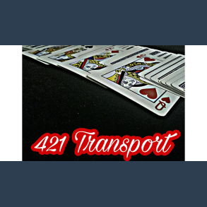 421 Transport by David Luu video DOWNLOAD