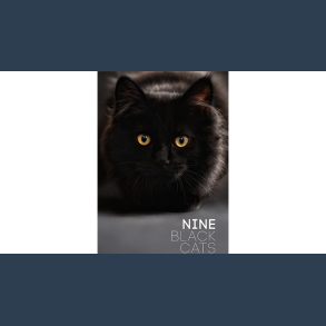 Nine Black Cats by Neema Atri eBook DOWNLOAD