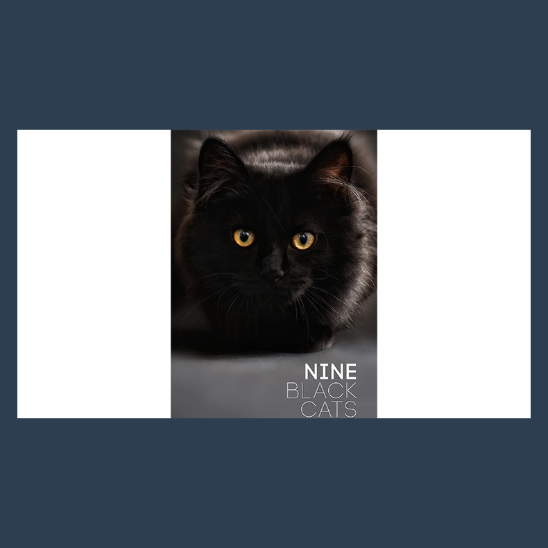 Nine Black Cats by Neema Atri eBook DOWNLOAD