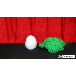 Egg to Tortoise (Sponge)