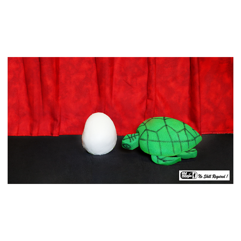 Egg to Tortoise (Sponge)