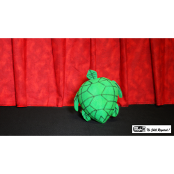 Egg to Tortoise (Sponge)