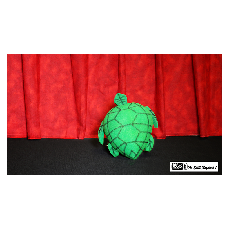 Egg to Tortoise (Sponge)