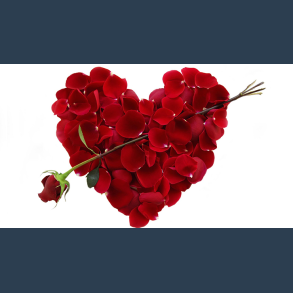 Valentine by Dynamite - video DOWNLOAD