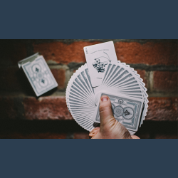 Superior Silver Arrow Playing Cards by Expert Playing Card Co