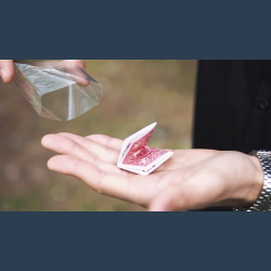 Uncatchable by Olivier Pont video DOWNLOAD