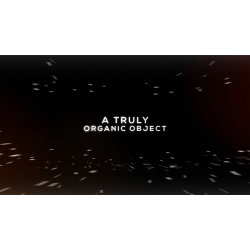 GUMFOUNDED by Steve Rowe 