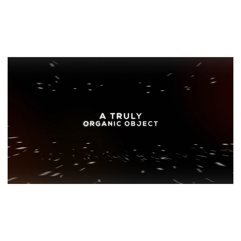 GUMFOUNDED by Steve Rowe 