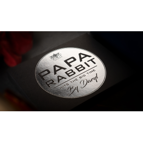 Papa Rabbit Hits The Big Time by DARYL