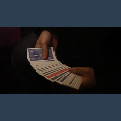 Twins by David Luu video DOWNLOAD
