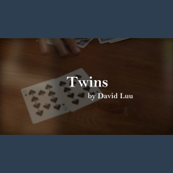 Twins by David Luu video DOWNLOAD