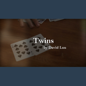 Twins by David Luu video DOWNLOAD