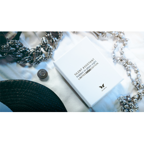 Silent Assistant Limited Duo Edition by SansMinds