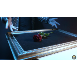 Visual Matrix AKA Rose Act Elegant Gold by Will Tsai and SansMinds