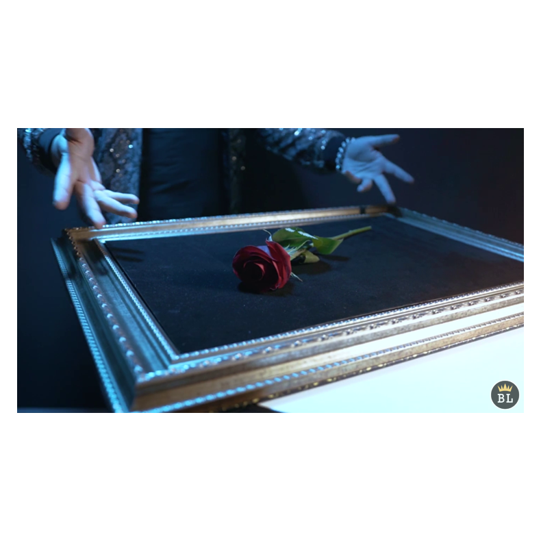 Visual Matrix AKA Rose Act Elegant Gold by Will Tsai and SansMinds