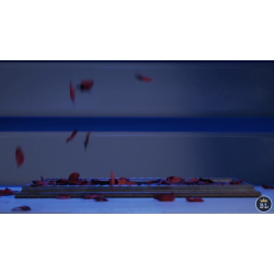 Visual Matrix AKA Rose Act Elegant Gold by Will Tsai and SansMinds