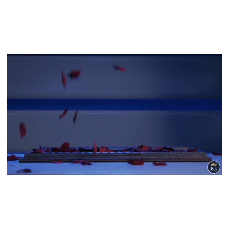 Visual Matrix AKA Rose Act Elegant Gold by Will Tsai and SansMinds