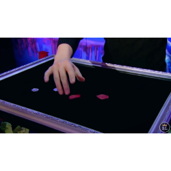 Visual Matrix AKA Rose Act Elegant Gold by Will Tsai and SansMinds