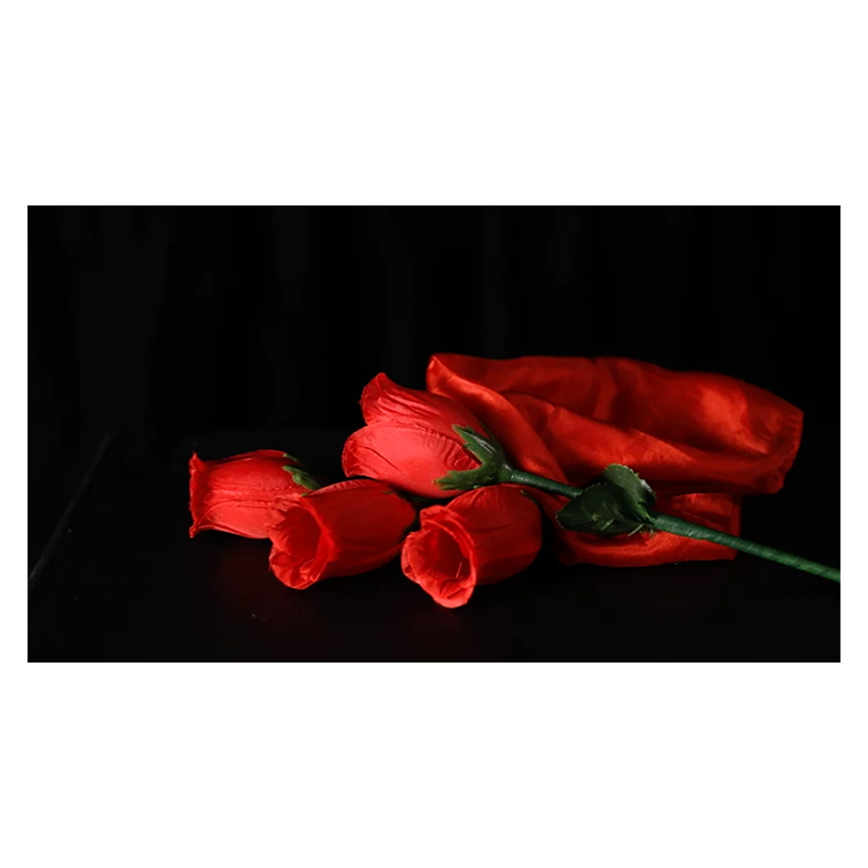 The Rose 2.0 (Red) by Bond Lee &amp; Wenzi Magic 