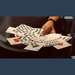 Chess Club Limited Edition Playing Cards by Magic Encarta