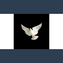 BLUFFF (Appearing Dove) by Juan Pablo Magic