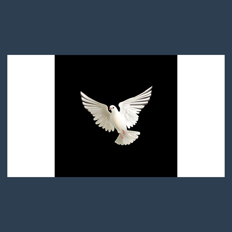 BLUFFF (Appearing Dove) by Juan Pablo Magic