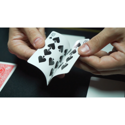 DARYL'S PRESTO PRINTO