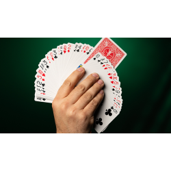 Fiedlers Flyer by DARYL 