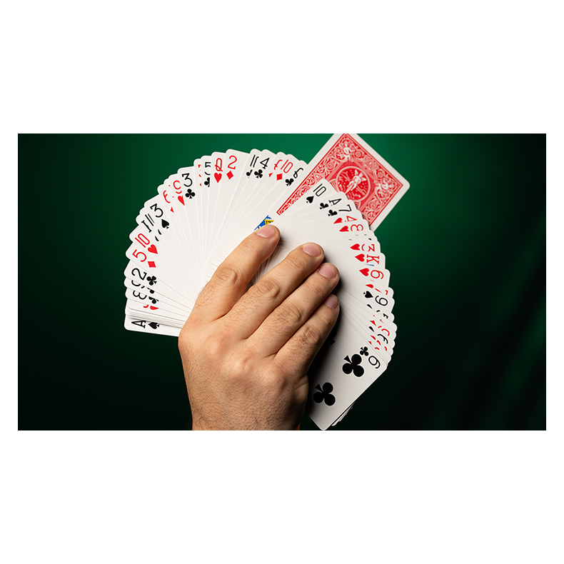 Fiedlers Flyer by DARYL 