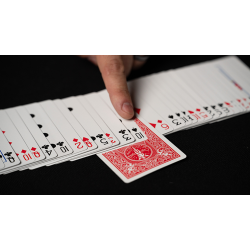 Fiedlers Flyer by DARYL 