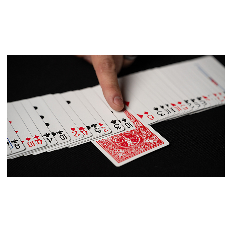 Fiedlers Flyer by DARYL 