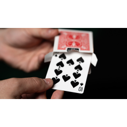 Fiedlers Flyer by DARYL 