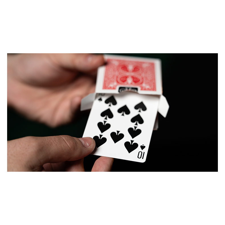 Fiedlers Flyer by DARYL 