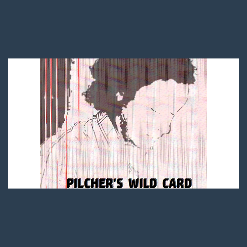 Pilcher's Wild Card by Matt Pilcher video DOWNLOAD