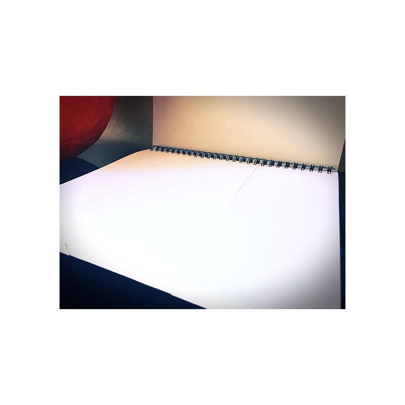 SvenPad Picasso: Large Solid (No Sections)