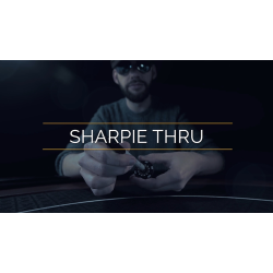 All In -Series One by Matthew Wright