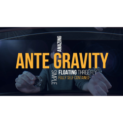 All In -Series One by Matthew Wright