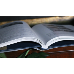 Solomon's Secrets by David Solomon