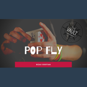 The Vault - Pop Fly by Bizau Cristian video DOWNLOAD