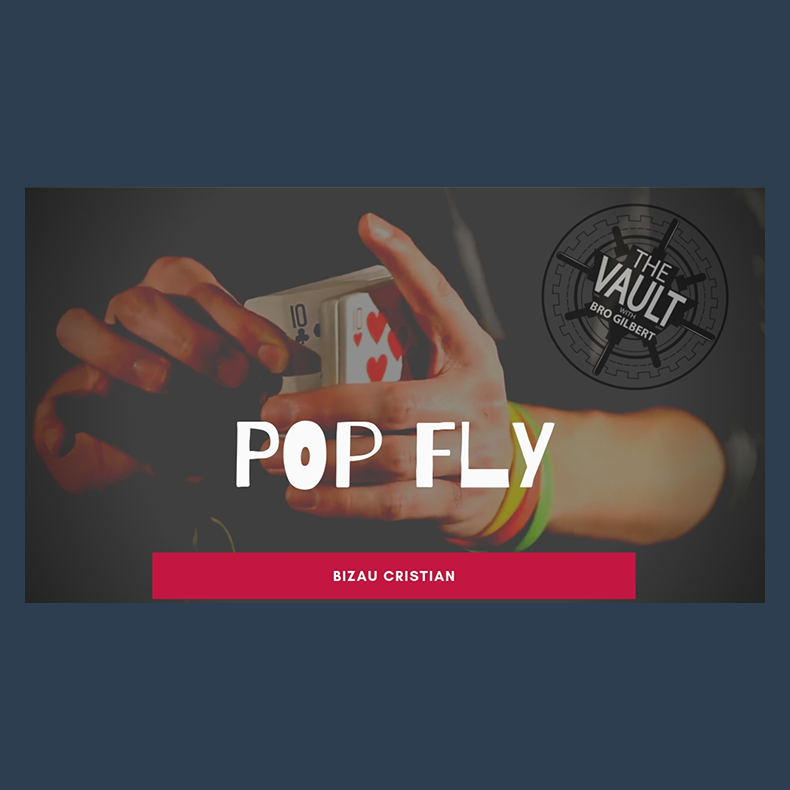 The Vault - Pop Fly by Bizau Cristian video DOWNLOAD