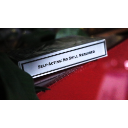 DeLand: Mystery and Madness by Richard Kaufman (Book and Cards)