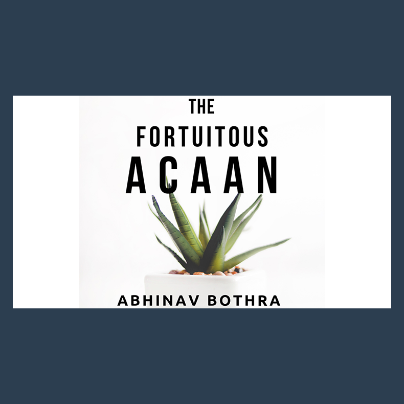 The Fortuitous ACAAN by Abhinav Bothra Mixed Media DOWNLOAD