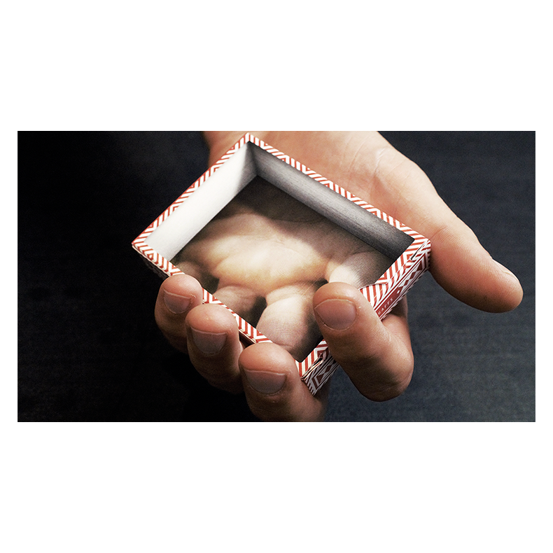 Visualies Gaff System by Mechanic Industries 