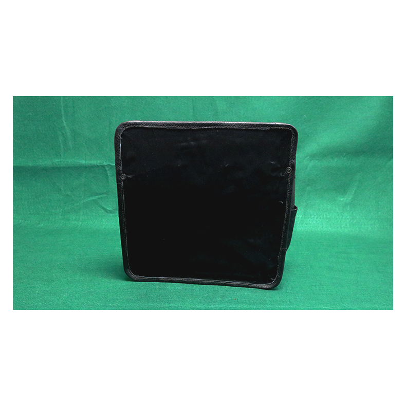 PARLOR PLUS POUCH by The Ambitious Card