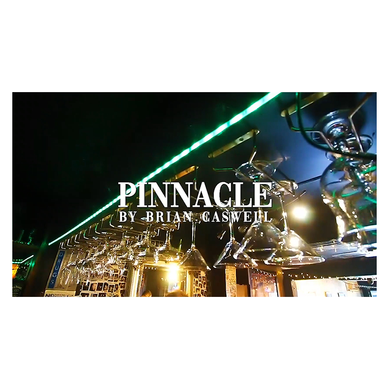 Pinnacle by Brian Caswell 