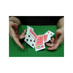 CIB: Cards In Bag by Dominique Duvivier