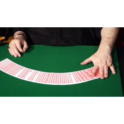 CIB: Cards In Bag by Dominique Duvivier